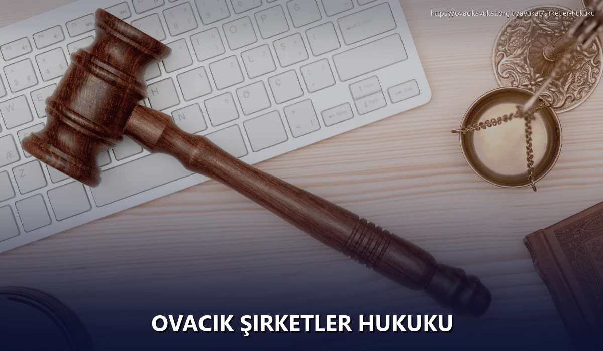 Ovacık Şirketler Hukuku